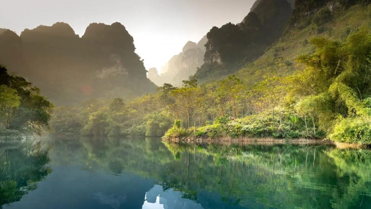 高效先进